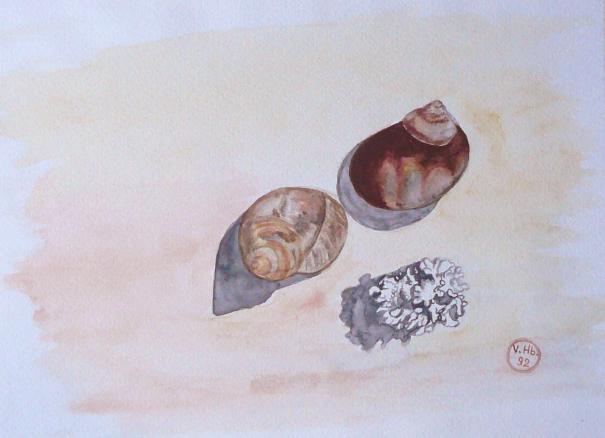Schnecken am Strand